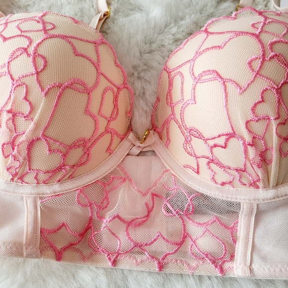 🩷DAISY FUENTES BRAND NEW HEART EMBROIDERED BRA SIZE 34C - Picture 3 of 5